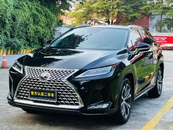 Lexus RX 2021 Model 300 4WD Special Edition – фото 1