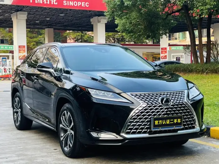 Lexus RX 2021 Model 300 4WD Special Edition – фото 3