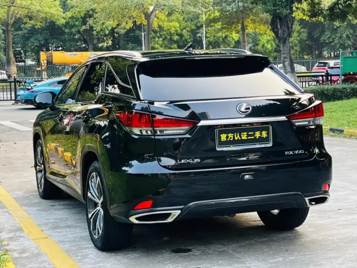 Lexus RX 2021 Model 300 4WD Special Edition – фото 4