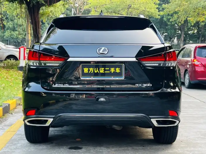 Lexus RX 2021 Model 300 4WD Special Edition – фото 5