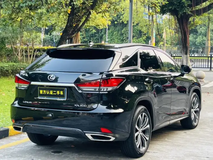Lexus RX 2021 Model 300 4WD Special Edition – фото 6