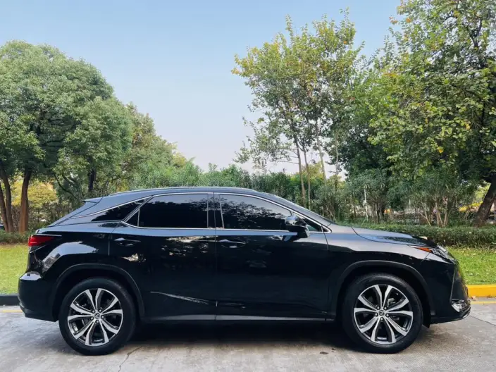 Lexus RX 2021 Model 300 4WD Special Edition – фото 7