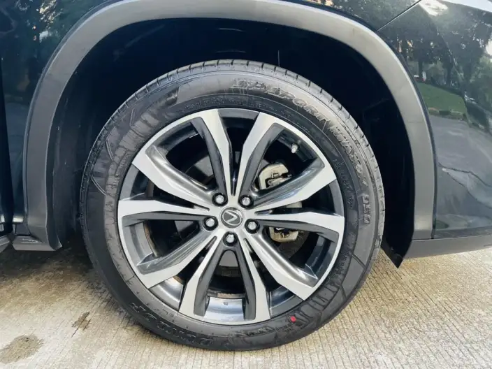 Lexus RX 2021 Model 300 4WD Special Edition – фото 8