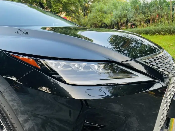 Lexus RX 2021 Model 300 4WD Special Edition – фото 10