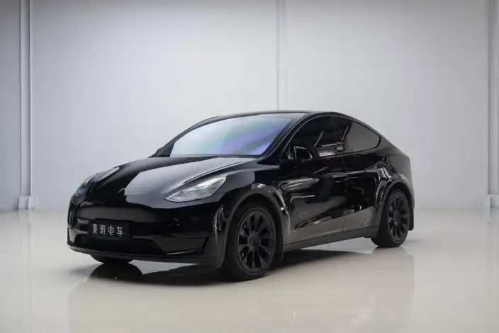 Model Y 2022 Model Long Battery Life Pro All-wheel drive version – фото 1