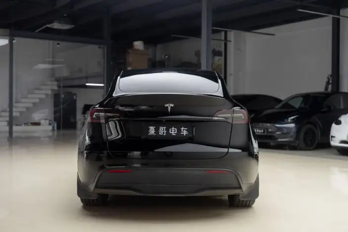 Model Y 2022 Model Long Battery Life Pro All-wheel drive version – фото 5