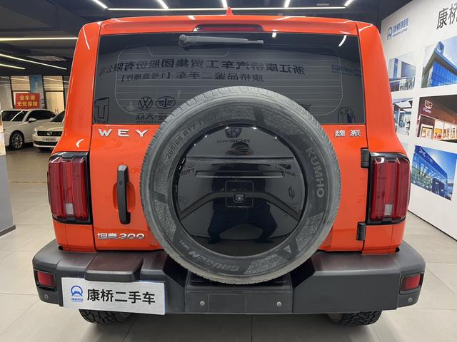 Great Wall Tank 300 2021 Off-Road 2.0T Conqueror – фото 5
