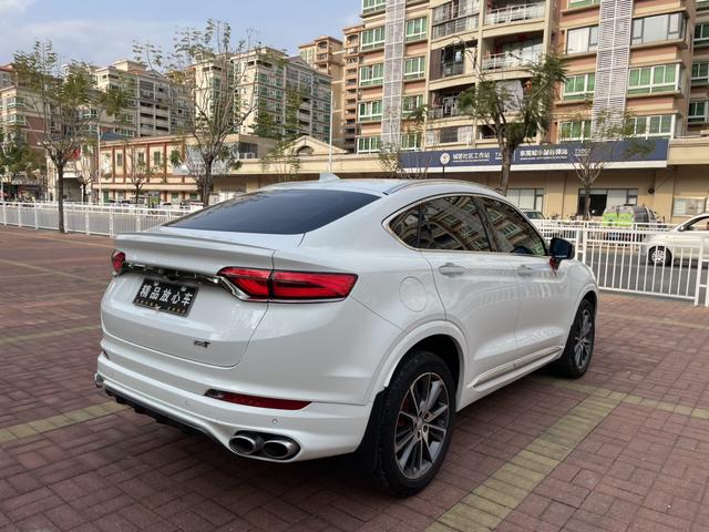 Xingyue Модель 2019 года 350T Shine Exeed Compass – фото 4