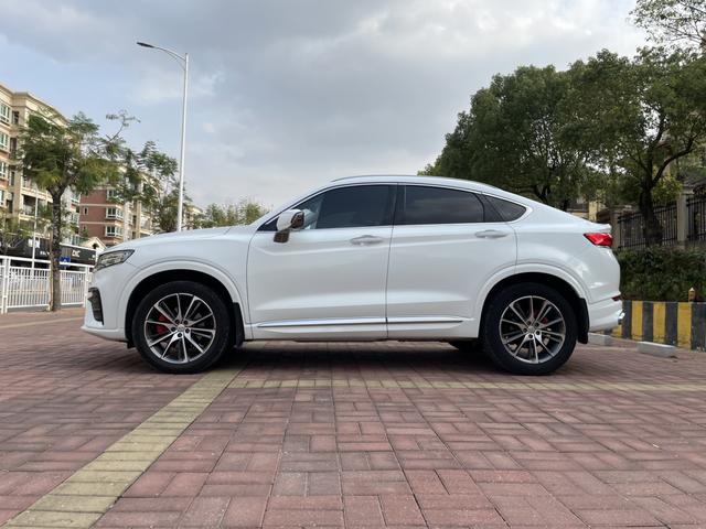 Xingyue Модель 2019 года 350T Shine Exeed Compass – фото 7