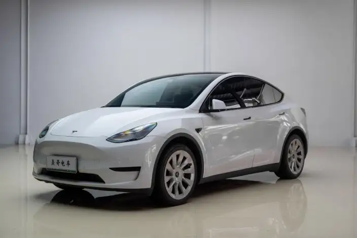 Model Y 2022 Model Rear-wheel drive version – фото 1