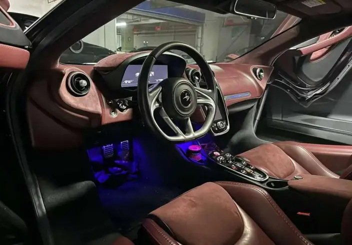 McLaren GT 2019 Model 4.0T Standard Model – фото 7