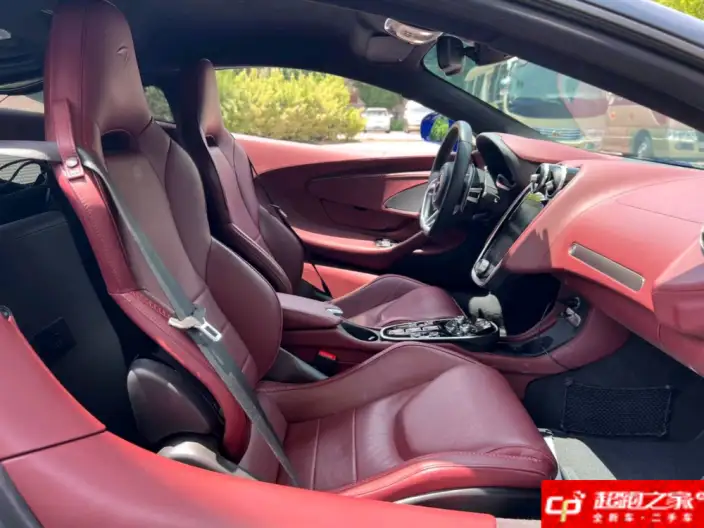McLaren GT 2019 Model 4.0T Standard Model – фото 8