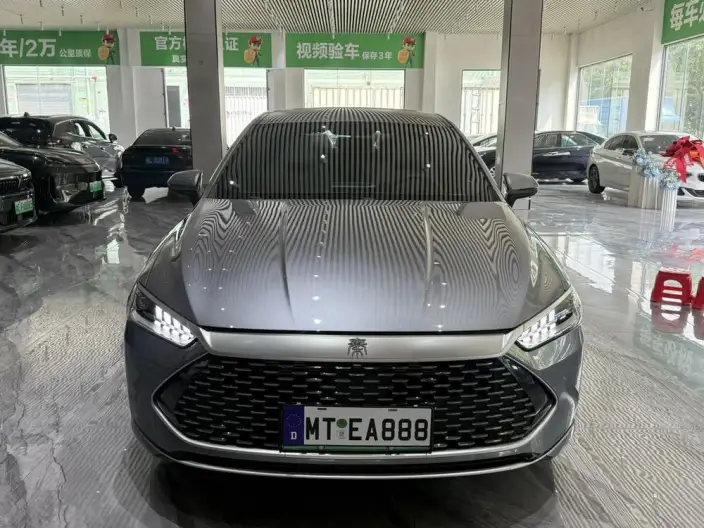 BYD Qin PLUS DM 2024 Model Honor Edition DM-i 55KM Leading Model – фото 2