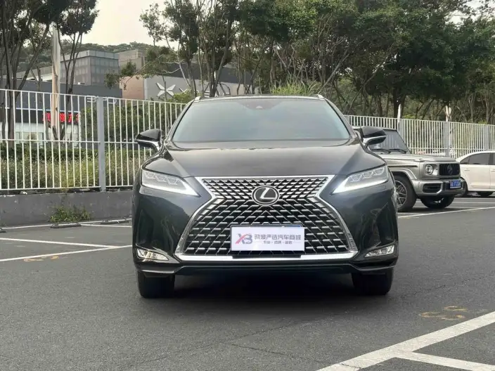 Lexus RX 2021 Model 300 4WD Special Edition – фото 2