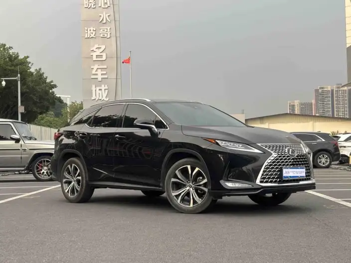 Lexus RX 2021 Model 300 4WD Special Edition – фото 3