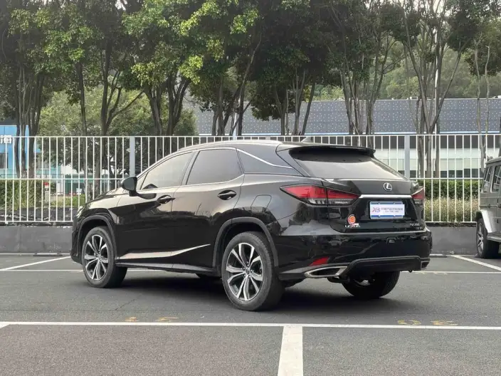 Lexus RX 2021 Model 300 4WD Special Edition – фото 5