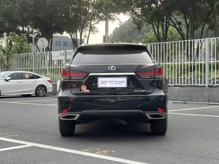 Lexus RX 2021 Model 300 4WD Special Edition – фото 6