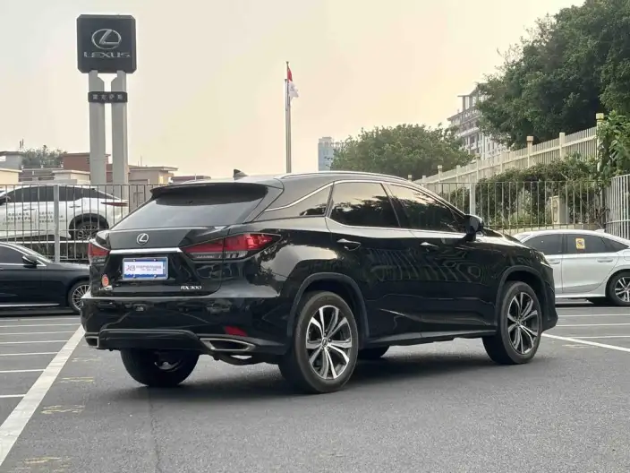Lexus RX 2021 Model 300 4WD Special Edition – фото 7