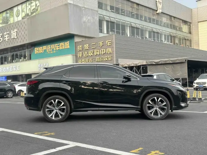 Lexus RX 2021 Model 300 4WD Special Edition – фото 8