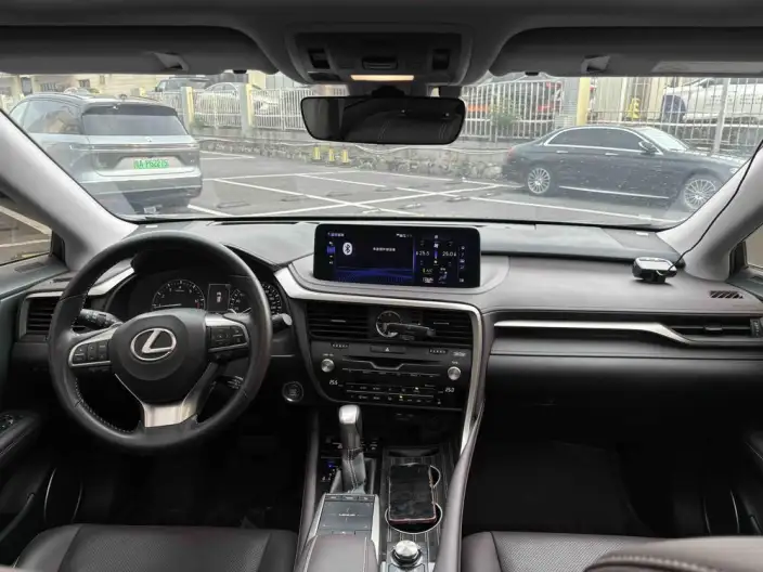 Lexus RX 2021 Model 300 4WD Special Edition – фото 9