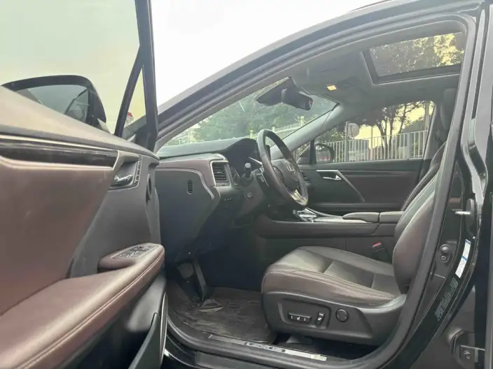 Lexus RX 2021 Model 300 4WD Special Edition – фото 10