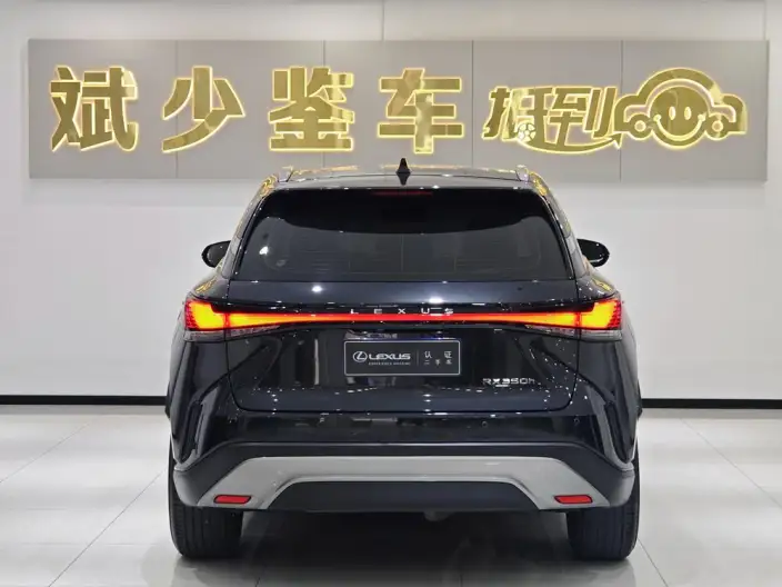 Lexus RX 2023 Model 350h 2WD Comfort Edition – фото 5