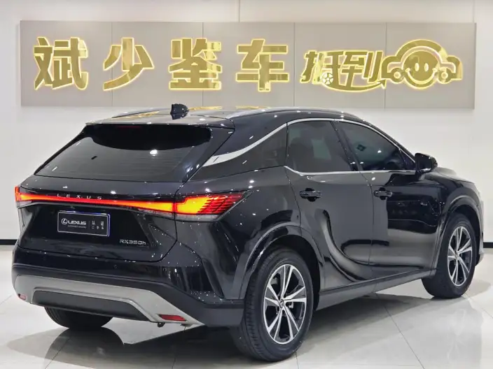 Lexus RX 2023 Model 350h 2WD Comfort Edition – фото 6