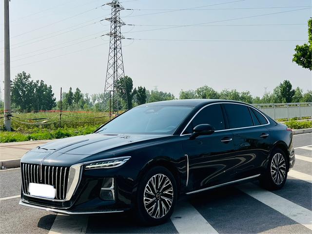 Hongqi H5 2025 2.0T Automatic Flag Smooth – фото 1