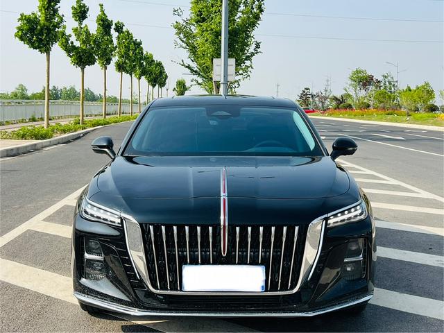 Hongqi H5 2025 2.0T Automatic Flag Smooth – фото 2