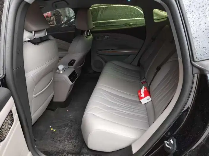Geely Galaxy E8 PHEV 2025 Model 130km EM-i Premium Edition – фото 9