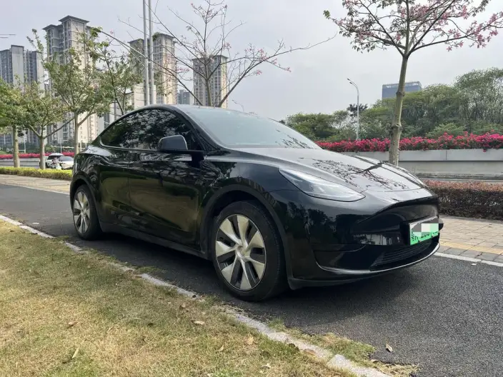 Model Y 2022 Model Facelift Rear-wheel drive version – фото 3