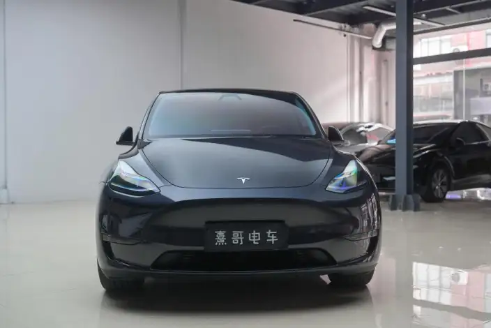 Model Y 2024 Model Long Battery Life Pro All-wheel drive version – фото 2