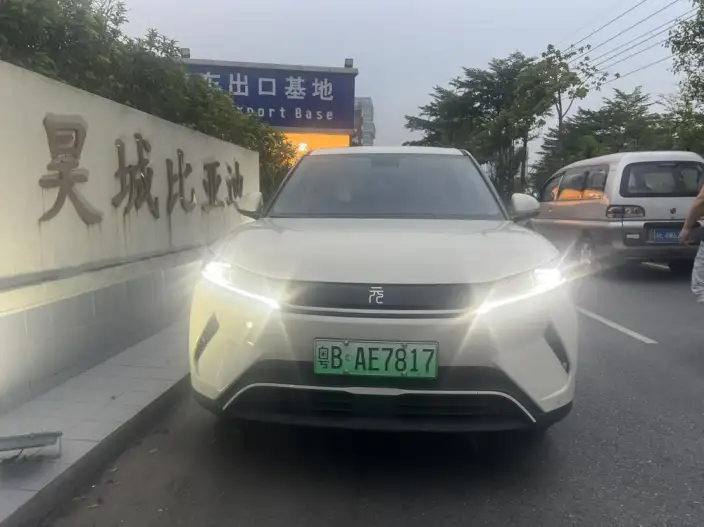 Yuan UP 2025 Model 301KM Pilot Model – фото 2
