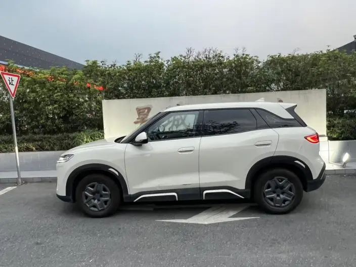 Yuan UP 2025 Model 301KM Pilot Model – фото 4