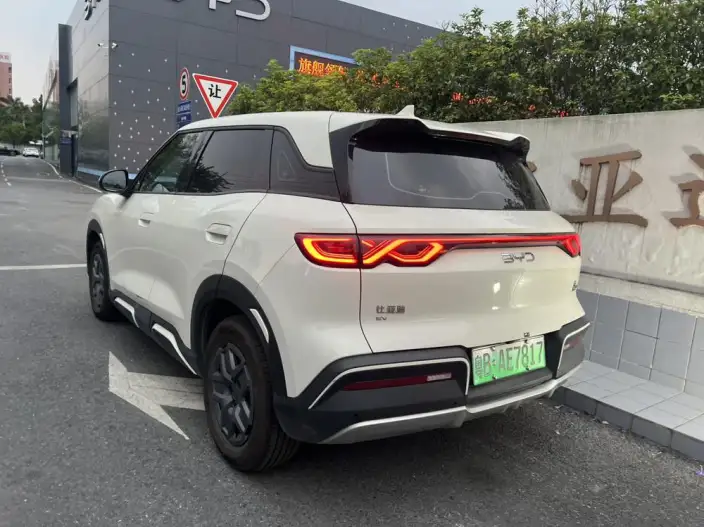 Yuan UP 2025 Model 301KM Pilot Model – фото 5