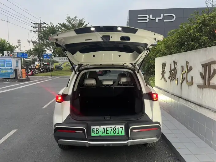 Yuan UP 2025 Model 301KM Pilot Model – фото 6