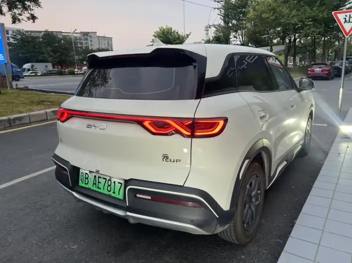 Yuan UP 2025 Model 301KM Pilot Model – фото 7