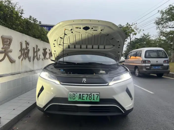 Yuan UP 2025 Model 301KM Pilot Model – фото 9