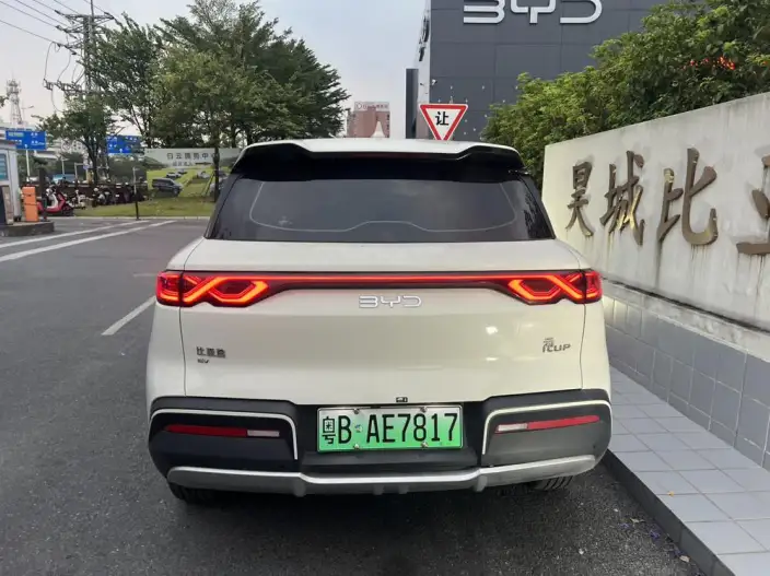 Yuan UP 2025 Model 301KM Pilot Model – фото 10