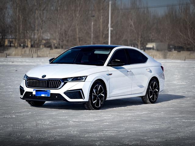 Skoda Octavia 2021 Pro TSI280 DSG Luxury Edition – фото 1