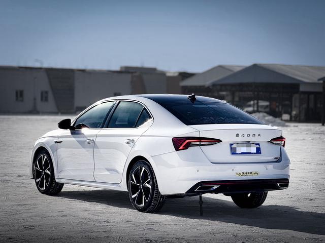Skoda Octavia 2021 Pro TSI280 DSG Luxury Edition – фото 4