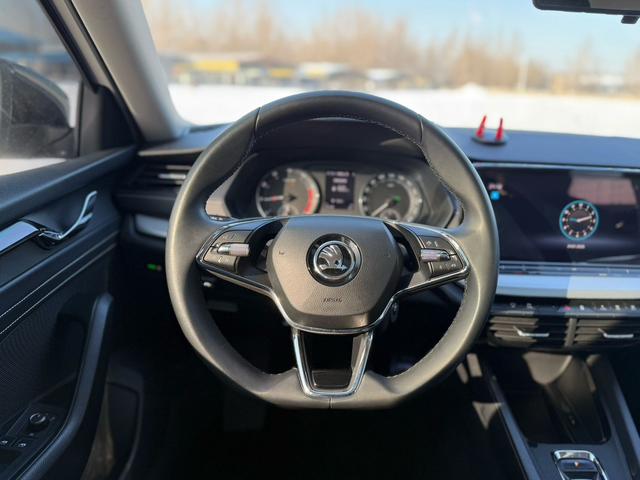 Skoda Octavia 2021 Pro TSI280 DSG Luxury Edition – фото 11