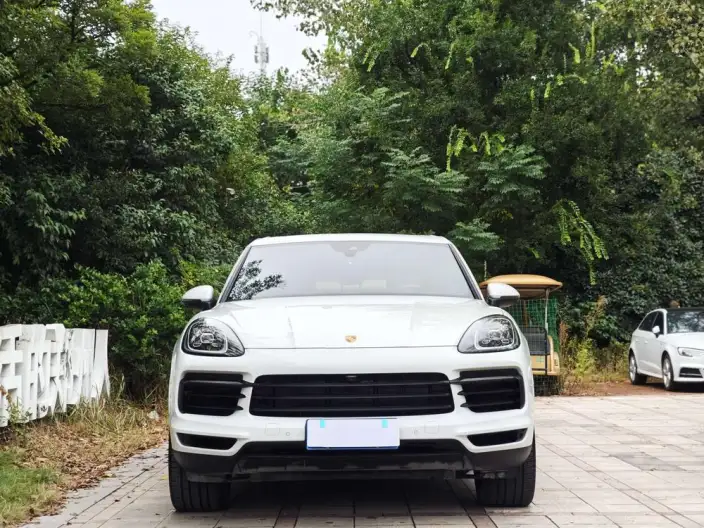 Cayenne 2019 Model Cayenne 3.0T – фото 2