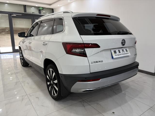 Karoq 2021 TSI280 Luxury – фото 16