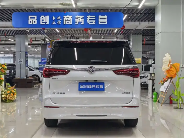 Buick GL8 2023 Model ES Luzun 2.0T Flagship Model – фото 5