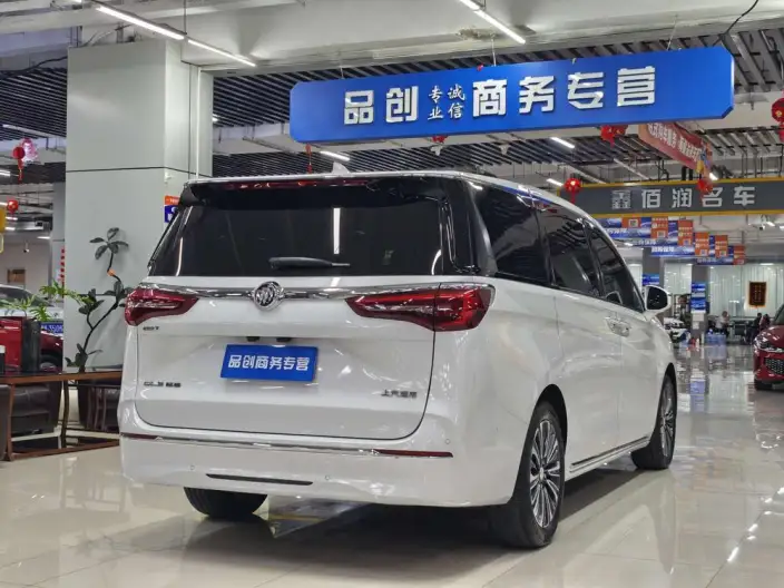 Buick GL8 2023 Model ES Luzun 2.0T Flagship Model – фото 6