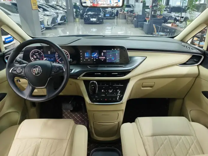 Buick GL8 2023 Model ES Luzun 2.0T Flagship Model – фото 8