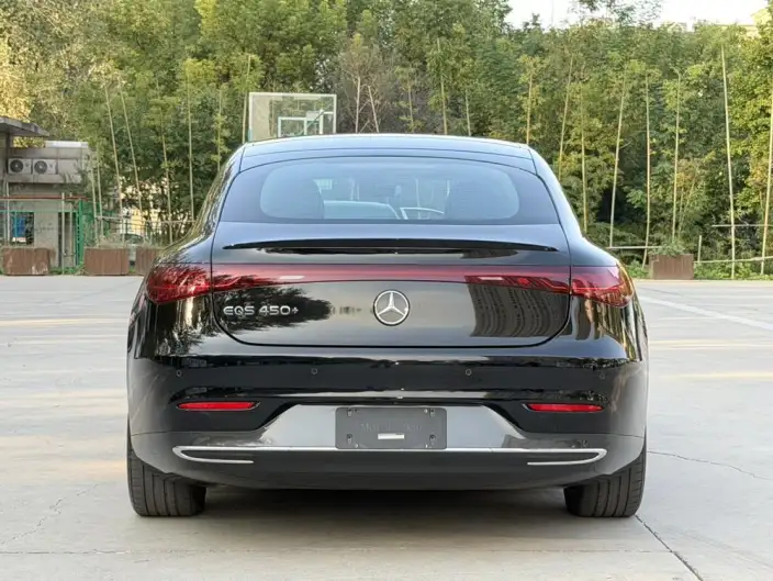 Mercedes-Benz EQS 2023 Model EQS 450+ Pioneer Edition – фото 5