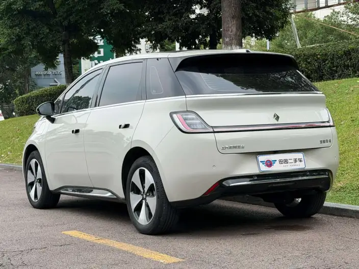 Yunduo 2023 Model 460 Max – фото 4
