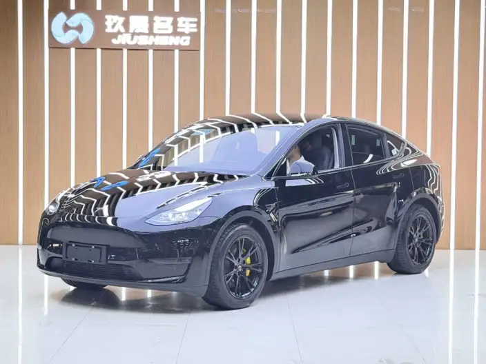 Model Y 2021 Model Standard Battery Life Rear-wheel drive version – фото 1